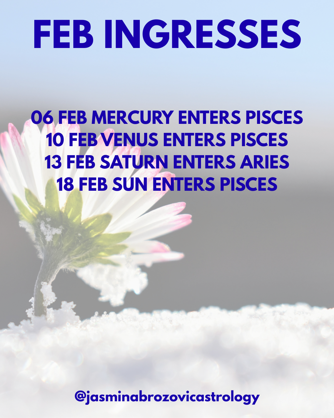 February Ingresses