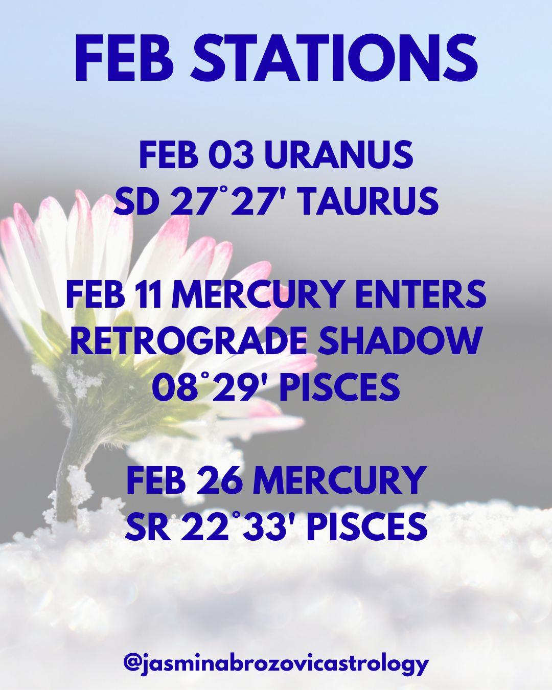 February Stations
